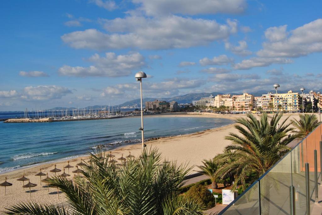 Delfin Playa de Palma (Mallorca)