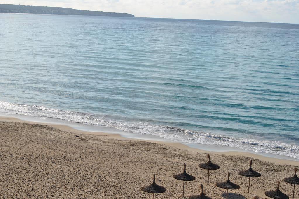 Delfin * Playa de Palma (Mallorca)